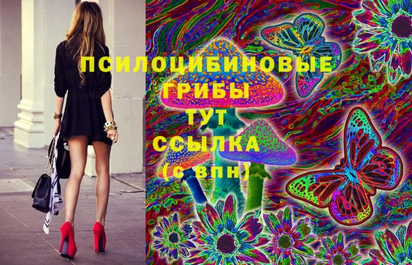 спиды Алексеевка